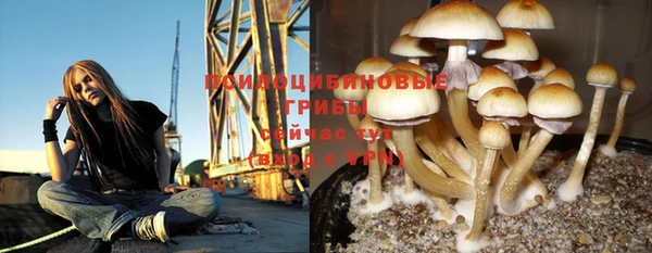 MDMA Краснослободск