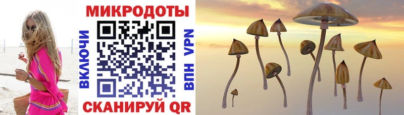 Купить закладки  Малгобек  Галлюциногенные грибы ЛСД 